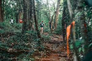 BIB: 
                            <button type="button" onclick="openModal(25678939)" class="btn btn-primary btn-sm float-right btn-popup" data-toggle="modal" data-target=".modal-high-quality">
                        <i class="fas fa-shopping-cart"></i> Add to Cart
                    </button>
                                            <button type="button" onclick="isThisMe(25678939, true)" class="btn btn-success btn-sm float-right btn-popup btn-isme hidden" data-toggle="tooltip" data-placement="bottom" title="นี่คือรูปของคุณใช่ไหม คลิกที่นี่เพื่อเอาเข้าอัลบั้ม">
                        <i class="fas fa-plus"></i> Add to album
                    </button>
                    <button type="button" onclick="isThisMe(25678939, false)" class="btn btn-warning btn-sm float-right btn-popup btn-isnotme hidden">
                        <i class="fas fa-ban"></i> Remove from album
                    </button>