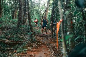 BIB: 
                            <button type="button" onclick="openModal(25678962)" class="btn btn-primary btn-sm float-right btn-popup" data-toggle="modal" data-target=".modal-high-quality">
                        <i class="fas fa-shopping-cart"></i> Add to Cart
                    </button>
                                            <button type="button" onclick="isThisMe(25678962, true)" class="btn btn-success btn-sm float-right btn-popup btn-isme hidden" data-toggle="tooltip" data-placement="bottom" title="นี่คือรูปของคุณใช่ไหม คลิกที่นี่เพื่อเอาเข้าอัลบั้ม">
                        <i class="fas fa-plus"></i> Add to album
                    </button>
                    <button type="button" onclick="isThisMe(25678962, false)" class="btn btn-warning btn-sm float-right btn-popup btn-isnotme hidden">
                        <i class="fas fa-ban"></i> Remove from album
                    </button>