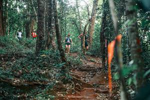 BIB: 
                            <button type="button" onclick="openModal(25678957)" class="btn btn-primary btn-sm float-right btn-popup" data-toggle="modal" data-target=".modal-high-quality">
                        <i class="fas fa-shopping-cart"></i> Add to Cart
                    </button>
                                            <button type="button" onclick="isThisMe(25678957, true)" class="btn btn-success btn-sm float-right btn-popup btn-isme hidden" data-toggle="tooltip" data-placement="bottom" title="นี่คือรูปของคุณใช่ไหม คลิกที่นี่เพื่อเอาเข้าอัลบั้ม">
                        <i class="fas fa-plus"></i> Add to album
                    </button>
                    <button type="button" onclick="isThisMe(25678957, false)" class="btn btn-warning btn-sm float-right btn-popup btn-isnotme hidden">
                        <i class="fas fa-ban"></i> Remove from album
                    </button>