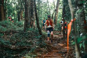 BIB: 
                            <button type="button" onclick="openModal(25708908)" class="btn btn-primary btn-sm float-right btn-popup" data-toggle="modal" data-target=".modal-high-quality">
                        <i class="fas fa-shopping-cart"></i> Add to Cart
                    </button>
                                            <button type="button" onclick="isThisMe(25708908, true)" class="btn btn-success btn-sm float-right btn-popup btn-isme hidden" data-toggle="tooltip" data-placement="bottom" title="นี่คือรูปของคุณใช่ไหม คลิกที่นี่เพื่อเอาเข้าอัลบั้ม">
                        <i class="fas fa-plus"></i> Add to album
                    </button>
                    <button type="button" onclick="isThisMe(25708908, false)" class="btn btn-warning btn-sm float-right btn-popup btn-isnotme hidden">
                        <i class="fas fa-ban"></i> Remove from album
                    </button>