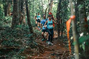 BIB: 
                            <button type="button" onclick="openModal(25679581)" class="btn btn-primary btn-sm float-right btn-popup" data-toggle="modal" data-target=".modal-high-quality">
                        <i class="fas fa-shopping-cart"></i> Add to Cart
                    </button>
                                            <button type="button" onclick="isThisMe(25679581, true)" class="btn btn-success btn-sm float-right btn-popup btn-isme hidden" data-toggle="tooltip" data-placement="bottom" title="นี่คือรูปของคุณใช่ไหม คลิกที่นี่เพื่อเอาเข้าอัลบั้ม">
                        <i class="fas fa-plus"></i> Add to album
                    </button>
                    <button type="button" onclick="isThisMe(25679581, false)" class="btn btn-warning btn-sm float-right btn-popup btn-isnotme hidden">
                        <i class="fas fa-ban"></i> Remove from album
                    </button>