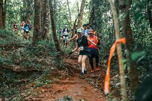 BIB: 
                            <button type="button" onclick="openModal(25707323)" class="btn btn-primary btn-sm float-right btn-popup" data-toggle="modal" data-target=".modal-high-quality">
                        <i class="fas fa-shopping-cart"></i> Add to Cart
                    </button>
                                            <button type="button" onclick="isThisMe(25707323, true)" class="btn btn-success btn-sm float-right btn-popup btn-isme hidden" data-toggle="tooltip" data-placement="bottom" title="นี่คือรูปของคุณใช่ไหม คลิกที่นี่เพื่อเอาเข้าอัลบั้ม">
                        <i class="fas fa-plus"></i> Add to album
                    </button>
                    <button type="button" onclick="isThisMe(25707323, false)" class="btn btn-warning btn-sm float-right btn-popup btn-isnotme hidden">
                        <i class="fas fa-ban"></i> Remove from album
                    </button>