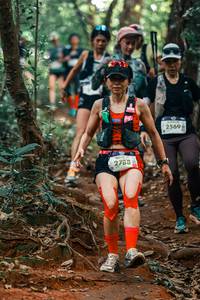 BIB: 
                            <button type="button" onclick="openModal(25705346)" class="btn btn-primary btn-sm float-right btn-popup" data-toggle="modal" data-target=".modal-high-quality">
                        <i class="fas fa-shopping-cart"></i> Add to Cart
                    </button>
                                            <button type="button" onclick="isThisMe(25705346, true)" class="btn btn-success btn-sm float-right btn-popup btn-isme hidden" data-toggle="tooltip" data-placement="bottom" title="นี่คือรูปของคุณใช่ไหม คลิกที่นี่เพื่อเอาเข้าอัลบั้ม">
                        <i class="fas fa-plus"></i> Add to album
                    </button>
                    <button type="button" onclick="isThisMe(25705346, false)" class="btn btn-warning btn-sm float-right btn-popup btn-isnotme hidden">
                        <i class="fas fa-ban"></i> Remove from album
                    </button>