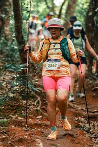 BIB: 
                            <button type="button" onclick="openModal(25718895)" class="btn btn-primary btn-sm float-right btn-popup" data-toggle="modal" data-target=".modal-high-quality">
                        <i class="fas fa-shopping-cart"></i> Add to Cart
                    </button>
                                            <button type="button" onclick="isThisMe(25718895, true)" class="btn btn-success btn-sm float-right btn-popup btn-isme hidden" data-toggle="tooltip" data-placement="bottom" title="นี่คือรูปของคุณใช่ไหม คลิกที่นี่เพื่อเอาเข้าอัลบั้ม">
                        <i class="fas fa-plus"></i> Add to album
                    </button>
                    <button type="button" onclick="isThisMe(25718895, false)" class="btn btn-warning btn-sm float-right btn-popup btn-isnotme hidden">
                        <i class="fas fa-ban"></i> Remove from album
                    </button>