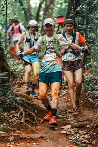 BIB: 
                            <button type="button" onclick="openModal(25963837)" class="btn btn-primary btn-sm float-right btn-popup" data-toggle="modal" data-target=".modal-high-quality">
                        <i class="fas fa-shopping-cart"></i> Add to Cart
                    </button>
                                            <button type="button" onclick="isThisMe(25963837, true)" class="btn btn-success btn-sm float-right btn-popup btn-isme hidden" data-toggle="tooltip" data-placement="bottom" title="นี่คือรูปของคุณใช่ไหม คลิกที่นี่เพื่อเอาเข้าอัลบั้ม">
                        <i class="fas fa-plus"></i> Add to album
                    </button>
                    <button type="button" onclick="isThisMe(25963837, false)" class="btn btn-warning btn-sm float-right btn-popup btn-isnotme hidden">
                        <i class="fas fa-ban"></i> Remove from album
                    </button>