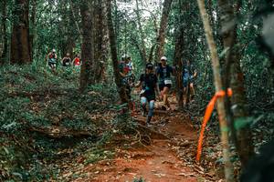 BIB: 
                            <button type="button" onclick="openModal(25948201)" class="btn btn-primary btn-sm float-right btn-popup" data-toggle="modal" data-target=".modal-high-quality">
                        <i class="fas fa-shopping-cart"></i> Add to Cart
                    </button>
                                            <button type="button" onclick="isThisMe(25948201, true)" class="btn btn-success btn-sm float-right btn-popup btn-isme hidden" data-toggle="tooltip" data-placement="bottom" title="นี่คือรูปของคุณใช่ไหม คลิกที่นี่เพื่อเอาเข้าอัลบั้ม">
                        <i class="fas fa-plus"></i> Add to album
                    </button>
                    <button type="button" onclick="isThisMe(25948201, false)" class="btn btn-warning btn-sm float-right btn-popup btn-isnotme hidden">
                        <i class="fas fa-ban"></i> Remove from album
                    </button>