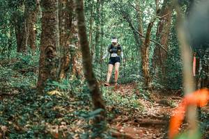 BIB: 
                            <button type="button" onclick="openModal(25946143)" class="btn btn-primary btn-sm float-right btn-popup" data-toggle="modal" data-target=".modal-high-quality">
                        <i class="fas fa-shopping-cart"></i> Add to Cart
                    </button>
                                            <button type="button" onclick="isThisMe(25946143, true)" class="btn btn-success btn-sm float-right btn-popup btn-isme hidden" data-toggle="tooltip" data-placement="bottom" title="นี่คือรูปของคุณใช่ไหม คลิกที่นี่เพื่อเอาเข้าอัลบั้ม">
                        <i class="fas fa-plus"></i> Add to album
                    </button>
                    <button type="button" onclick="isThisMe(25946143, false)" class="btn btn-warning btn-sm float-right btn-popup btn-isnotme hidden">
                        <i class="fas fa-ban"></i> Remove from album
                    </button>