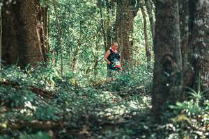 BIB: 
                            <button type="button" onclick="openModal(25947209)" class="btn btn-primary btn-sm float-right btn-popup" data-toggle="modal" data-target=".modal-high-quality">
                        <i class="fas fa-shopping-cart"></i> Add to Cart
                    </button>
                                            <button type="button" onclick="isThisMe(25947209, true)" class="btn btn-success btn-sm float-right btn-popup btn-isme hidden" data-toggle="tooltip" data-placement="bottom" title="นี่คือรูปของคุณใช่ไหม คลิกที่นี่เพื่อเอาเข้าอัลบั้ม">
                        <i class="fas fa-plus"></i> Add to album
                    </button>
                    <button type="button" onclick="isThisMe(25947209, false)" class="btn btn-warning btn-sm float-right btn-popup btn-isnotme hidden">
                        <i class="fas fa-ban"></i> Remove from album
                    </button>