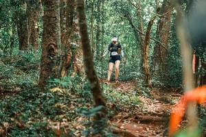 BIB: 
                            <button type="button" onclick="openModal(25946149)" class="btn btn-primary btn-sm float-right btn-popup" data-toggle="modal" data-target=".modal-high-quality">
                        <i class="fas fa-shopping-cart"></i> Add to Cart
                    </button>
                                            <button type="button" onclick="isThisMe(25946149, true)" class="btn btn-success btn-sm float-right btn-popup btn-isme hidden" data-toggle="tooltip" data-placement="bottom" title="นี่คือรูปของคุณใช่ไหม คลิกที่นี่เพื่อเอาเข้าอัลบั้ม">
                        <i class="fas fa-plus"></i> Add to album
                    </button>
                    <button type="button" onclick="isThisMe(25946149, false)" class="btn btn-warning btn-sm float-right btn-popup btn-isnotme hidden">
                        <i class="fas fa-ban"></i> Remove from album
                    </button>