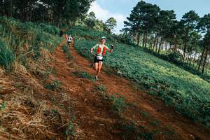 BIB: 
                            <button type="button" onclick="openModal(25289950)" class="btn btn-primary btn-sm float-right btn-popup" data-toggle="modal" data-target=".modal-high-quality">
                        <i class="fas fa-shopping-cart"></i> Add to Cart
                    </button>
                                            <button type="button" onclick="isThisMe(25289950, true)" class="btn btn-success btn-sm float-right btn-popup btn-isme hidden" data-toggle="tooltip" data-placement="bottom" title="นี่คือรูปของคุณใช่ไหม คลิกที่นี่เพื่อเอาเข้าอัลบั้ม">
                        <i class="fas fa-plus"></i> Add to album
                    </button>
                    <button type="button" onclick="isThisMe(25289950, false)" class="btn btn-warning btn-sm float-right btn-popup btn-isnotme hidden">
                        <i class="fas fa-ban"></i> Remove from album
                    </button>