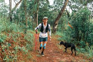 BIB: 
                            <button type="button" onclick="openModal(25287107)" class="btn btn-primary btn-sm float-right btn-popup" data-toggle="modal" data-target=".modal-high-quality">
                        <i class="fas fa-shopping-cart"></i> Add to Cart
                    </button>
                                            <button type="button" onclick="isThisMe(25287107, true)" class="btn btn-success btn-sm float-right btn-popup btn-isme hidden" data-toggle="tooltip" data-placement="bottom" title="นี่คือรูปของคุณใช่ไหม คลิกที่นี่เพื่อเอาเข้าอัลบั้ม">
                        <i class="fas fa-plus"></i> Add to album
                    </button>
                    <button type="button" onclick="isThisMe(25287107, false)" class="btn btn-warning btn-sm float-right btn-popup btn-isnotme hidden">
                        <i class="fas fa-ban"></i> Remove from album
                    </button>