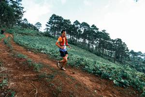 BIB: 
                            <button type="button" onclick="openModal(25288564)" class="btn btn-primary btn-sm float-right btn-popup" data-toggle="modal" data-target=".modal-high-quality">
                        <i class="fas fa-shopping-cart"></i> Add to Cart
                    </button>
                                            <button type="button" onclick="isThisMe(25288564, true)" class="btn btn-success btn-sm float-right btn-popup btn-isme hidden" data-toggle="tooltip" data-placement="bottom" title="นี่คือรูปของคุณใช่ไหม คลิกที่นี่เพื่อเอาเข้าอัลบั้ม">
                        <i class="fas fa-plus"></i> Add to album
                    </button>
                    <button type="button" onclick="isThisMe(25288564, false)" class="btn btn-warning btn-sm float-right btn-popup btn-isnotme hidden">
                        <i class="fas fa-ban"></i> Remove from album
                    </button>