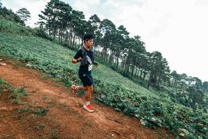 BIB: 
                            <button type="button" onclick="openModal(25322659)" class="btn btn-primary btn-sm float-right btn-popup" data-toggle="modal" data-target=".modal-high-quality">
                        <i class="fas fa-shopping-cart"></i> Add to Cart
                    </button>
                                            <button type="button" onclick="isThisMe(25322659, true)" class="btn btn-success btn-sm float-right btn-popup btn-isme hidden" data-toggle="tooltip" data-placement="bottom" title="นี่คือรูปของคุณใช่ไหม คลิกที่นี่เพื่อเอาเข้าอัลบั้ม">
                        <i class="fas fa-plus"></i> Add to album
                    </button>
                    <button type="button" onclick="isThisMe(25322659, false)" class="btn btn-warning btn-sm float-right btn-popup btn-isnotme hidden">
                        <i class="fas fa-ban"></i> Remove from album
                    </button>