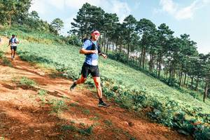 BIB: 
                            <button type="button" onclick="openModal(25289505)" class="btn btn-primary btn-sm float-right btn-popup" data-toggle="modal" data-target=".modal-high-quality">
                        <i class="fas fa-shopping-cart"></i> Add to Cart
                    </button>
                                            <button type="button" onclick="isThisMe(25289505, true)" class="btn btn-success btn-sm float-right btn-popup btn-isme hidden" data-toggle="tooltip" data-placement="bottom" title="นี่คือรูปของคุณใช่ไหม คลิกที่นี่เพื่อเอาเข้าอัลบั้ม">
                        <i class="fas fa-plus"></i> Add to album
                    </button>
                    <button type="button" onclick="isThisMe(25289505, false)" class="btn btn-warning btn-sm float-right btn-popup btn-isnotme hidden">
                        <i class="fas fa-ban"></i> Remove from album
                    </button>