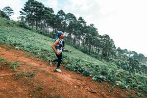 BIB: 
                            <button type="button" onclick="openModal(25300235)" class="btn btn-primary btn-sm float-right btn-popup" data-toggle="modal" data-target=".modal-high-quality">
                        <i class="fas fa-shopping-cart"></i> Add to Cart
                    </button>
                                            <button type="button" onclick="isThisMe(25300235, true)" class="btn btn-success btn-sm float-right btn-popup btn-isme hidden" data-toggle="tooltip" data-placement="bottom" title="นี่คือรูปของคุณใช่ไหม คลิกที่นี่เพื่อเอาเข้าอัลบั้ม">
                        <i class="fas fa-plus"></i> Add to album
                    </button>
                    <button type="button" onclick="isThisMe(25300235, false)" class="btn btn-warning btn-sm float-right btn-popup btn-isnotme hidden">
                        <i class="fas fa-ban"></i> Remove from album
                    </button>