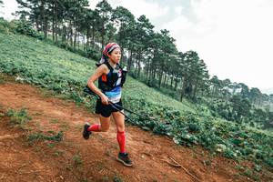 BIB: 
                            <button type="button" onclick="openModal(25300166)" class="btn btn-primary btn-sm float-right btn-popup" data-toggle="modal" data-target=".modal-high-quality">
                        <i class="fas fa-shopping-cart"></i> Add to Cart
                    </button>
                                            <button type="button" onclick="isThisMe(25300166, true)" class="btn btn-success btn-sm float-right btn-popup btn-isme hidden" data-toggle="tooltip" data-placement="bottom" title="นี่คือรูปของคุณใช่ไหม คลิกที่นี่เพื่อเอาเข้าอัลบั้ม">
                        <i class="fas fa-plus"></i> Add to album
                    </button>
                    <button type="button" onclick="isThisMe(25300166, false)" class="btn btn-warning btn-sm float-right btn-popup btn-isnotme hidden">
                        <i class="fas fa-ban"></i> Remove from album
                    </button>