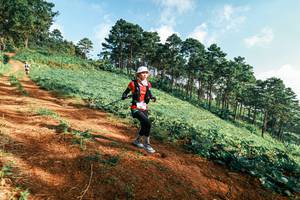 BIB: 
                            <button type="button" onclick="openModal(25290381)" class="btn btn-primary btn-sm float-right btn-popup" data-toggle="modal" data-target=".modal-high-quality">
                        <i class="fas fa-shopping-cart"></i> Add to Cart
                    </button>
                                            <button type="button" onclick="isThisMe(25290381, true)" class="btn btn-success btn-sm float-right btn-popup btn-isme hidden" data-toggle="tooltip" data-placement="bottom" title="นี่คือรูปของคุณใช่ไหม คลิกที่นี่เพื่อเอาเข้าอัลบั้ม">
                        <i class="fas fa-plus"></i> Add to album
                    </button>
                    <button type="button" onclick="isThisMe(25290381, false)" class="btn btn-warning btn-sm float-right btn-popup btn-isnotme hidden">
                        <i class="fas fa-ban"></i> Remove from album
                    </button>