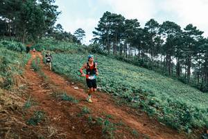 BIB: 
                            <button type="button" onclick="openModal(25288802)" class="btn btn-primary btn-sm float-right btn-popup" data-toggle="modal" data-target=".modal-high-quality">
                        <i class="fas fa-shopping-cart"></i> Add to Cart
                    </button>
                                            <button type="button" onclick="isThisMe(25288802, true)" class="btn btn-success btn-sm float-right btn-popup btn-isme hidden" data-toggle="tooltip" data-placement="bottom" title="นี่คือรูปของคุณใช่ไหม คลิกที่นี่เพื่อเอาเข้าอัลบั้ม">
                        <i class="fas fa-plus"></i> Add to album
                    </button>
                    <button type="button" onclick="isThisMe(25288802, false)" class="btn btn-warning btn-sm float-right btn-popup btn-isnotme hidden">
                        <i class="fas fa-ban"></i> Remove from album
                    </button>