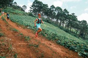 BIB: 
                            <button type="button" onclick="openModal(25453862)" class="btn btn-primary btn-sm float-right btn-popup" data-toggle="modal" data-target=".modal-high-quality">
                        <i class="fas fa-shopping-cart"></i> Add to Cart
                    </button>
                                            <button type="button" onclick="isThisMe(25453862, true)" class="btn btn-success btn-sm float-right btn-popup btn-isme hidden" data-toggle="tooltip" data-placement="bottom" title="นี่คือรูปของคุณใช่ไหม คลิกที่นี่เพื่อเอาเข้าอัลบั้ม">
                        <i class="fas fa-plus"></i> Add to album
                    </button>
                    <button type="button" onclick="isThisMe(25453862, false)" class="btn btn-warning btn-sm float-right btn-popup btn-isnotme hidden">
                        <i class="fas fa-ban"></i> Remove from album
                    </button>