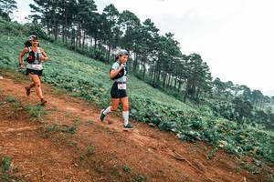 BIB: 
                            <button type="button" onclick="openModal(25431892)" class="btn btn-primary btn-sm float-right btn-popup" data-toggle="modal" data-target=".modal-high-quality">
                        <i class="fas fa-shopping-cart"></i> Add to Cart
                    </button>
                                            <button type="button" onclick="isThisMe(25431892, true)" class="btn btn-success btn-sm float-right btn-popup btn-isme hidden" data-toggle="tooltip" data-placement="bottom" title="นี่คือรูปของคุณใช่ไหม คลิกที่นี่เพื่อเอาเข้าอัลบั้ม">
                        <i class="fas fa-plus"></i> Add to album
                    </button>
                    <button type="button" onclick="isThisMe(25431892, false)" class="btn btn-warning btn-sm float-right btn-popup btn-isnotme hidden">
                        <i class="fas fa-ban"></i> Remove from album
                    </button>