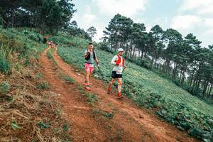 BIB: 
                            <button type="button" onclick="openModal(25301714)" class="btn btn-primary btn-sm float-right btn-popup" data-toggle="modal" data-target=".modal-high-quality">
                        <i class="fas fa-shopping-cart"></i> Add to Cart
                    </button>
                                            <button type="button" onclick="isThisMe(25301714, true)" class="btn btn-success btn-sm float-right btn-popup btn-isme hidden" data-toggle="tooltip" data-placement="bottom" title="นี่คือรูปของคุณใช่ไหม คลิกที่นี่เพื่อเอาเข้าอัลบั้ม">
                        <i class="fas fa-plus"></i> Add to album
                    </button>
                    <button type="button" onclick="isThisMe(25301714, false)" class="btn btn-warning btn-sm float-right btn-popup btn-isnotme hidden">
                        <i class="fas fa-ban"></i> Remove from album
                    </button>