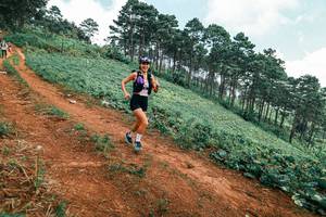 BIB: 
                            <button type="button" onclick="openModal(25453280)" class="btn btn-primary btn-sm float-right btn-popup" data-toggle="modal" data-target=".modal-high-quality">
                        <i class="fas fa-shopping-cart"></i> Add to Cart
                    </button>
                                            <button type="button" onclick="isThisMe(25453280, true)" class="btn btn-success btn-sm float-right btn-popup btn-isme hidden" data-toggle="tooltip" data-placement="bottom" title="นี่คือรูปของคุณใช่ไหม คลิกที่นี่เพื่อเอาเข้าอัลบั้ม">
                        <i class="fas fa-plus"></i> Add to album
                    </button>
                    <button type="button" onclick="isThisMe(25453280, false)" class="btn btn-warning btn-sm float-right btn-popup btn-isnotme hidden">
                        <i class="fas fa-ban"></i> Remove from album
                    </button>