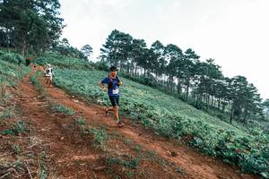 BIB: 
                            <button type="button" onclick="openModal(25288578)" class="btn btn-primary btn-sm float-right btn-popup" data-toggle="modal" data-target=".modal-high-quality">
                        <i class="fas fa-shopping-cart"></i> Add to Cart
                    </button>
                                            <button type="button" onclick="isThisMe(25288578, true)" class="btn btn-success btn-sm float-right btn-popup btn-isme hidden" data-toggle="tooltip" data-placement="bottom" title="นี่คือรูปของคุณใช่ไหม คลิกที่นี่เพื่อเอาเข้าอัลบั้ม">
                        <i class="fas fa-plus"></i> Add to album
                    </button>
                    <button type="button" onclick="isThisMe(25288578, false)" class="btn btn-warning btn-sm float-right btn-popup btn-isnotme hidden">
                        <i class="fas fa-ban"></i> Remove from album
                    </button>