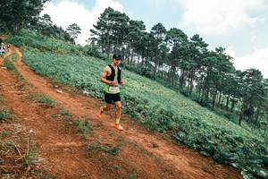 BIB: 
                            <button type="button" onclick="openModal(25453012)" class="btn btn-primary btn-sm float-right btn-popup" data-toggle="modal" data-target=".modal-high-quality">
                        <i class="fas fa-shopping-cart"></i> Add to Cart
                    </button>
                                            <button type="button" onclick="isThisMe(25453012, true)" class="btn btn-success btn-sm float-right btn-popup btn-isme hidden" data-toggle="tooltip" data-placement="bottom" title="นี่คือรูปของคุณใช่ไหม คลิกที่นี่เพื่อเอาเข้าอัลบั้ม">
                        <i class="fas fa-plus"></i> Add to album
                    </button>
                    <button type="button" onclick="isThisMe(25453012, false)" class="btn btn-warning btn-sm float-right btn-popup btn-isnotme hidden">
                        <i class="fas fa-ban"></i> Remove from album
                    </button>