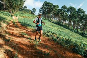 BIB: 
                            <button type="button" onclick="openModal(25289731)" class="btn btn-primary btn-sm float-right btn-popup" data-toggle="modal" data-target=".modal-high-quality">
                        <i class="fas fa-shopping-cart"></i> Add to Cart
                    </button>
                                            <button type="button" onclick="isThisMe(25289731, true)" class="btn btn-success btn-sm float-right btn-popup btn-isme hidden" data-toggle="tooltip" data-placement="bottom" title="นี่คือรูปของคุณใช่ไหม คลิกที่นี่เพื่อเอาเข้าอัลบั้ม">
                        <i class="fas fa-plus"></i> Add to album
                    </button>
                    <button type="button" onclick="isThisMe(25289731, false)" class="btn btn-warning btn-sm float-right btn-popup btn-isnotme hidden">
                        <i class="fas fa-ban"></i> Remove from album
                    </button>