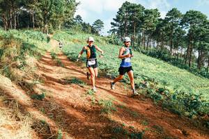 BIB: 
                            <button type="button" onclick="openModal(25289544)" class="btn btn-primary btn-sm float-right btn-popup" data-toggle="modal" data-target=".modal-high-quality">
                        <i class="fas fa-shopping-cart"></i> Add to Cart
                    </button>
                                            <button type="button" onclick="isThisMe(25289544, true)" class="btn btn-success btn-sm float-right btn-popup btn-isme hidden" data-toggle="tooltip" data-placement="bottom" title="นี่คือรูปของคุณใช่ไหม คลิกที่นี่เพื่อเอาเข้าอัลบั้ม">
                        <i class="fas fa-plus"></i> Add to album
                    </button>
                    <button type="button" onclick="isThisMe(25289544, false)" class="btn btn-warning btn-sm float-right btn-popup btn-isnotme hidden">
                        <i class="fas fa-ban"></i> Remove from album
                    </button>