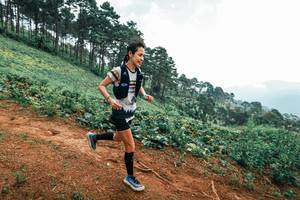 BIB: 
                            <button type="button" onclick="openModal(25298515)" class="btn btn-primary btn-sm float-right btn-popup" data-toggle="modal" data-target=".modal-high-quality">
                        <i class="fas fa-shopping-cart"></i> Add to Cart
                    </button>
                                            <button type="button" onclick="isThisMe(25298515, true)" class="btn btn-success btn-sm float-right btn-popup btn-isme hidden" data-toggle="tooltip" data-placement="bottom" title="นี่คือรูปของคุณใช่ไหม คลิกที่นี่เพื่อเอาเข้าอัลบั้ม">
                        <i class="fas fa-plus"></i> Add to album
                    </button>
                    <button type="button" onclick="isThisMe(25298515, false)" class="btn btn-warning btn-sm float-right btn-popup btn-isnotme hidden">
                        <i class="fas fa-ban"></i> Remove from album
                    </button>