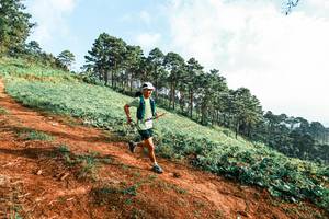 BIB: 
                            <button type="button" onclick="openModal(25287898)" class="btn btn-primary btn-sm float-right btn-popup" data-toggle="modal" data-target=".modal-high-quality">
                        <i class="fas fa-shopping-cart"></i> Add to Cart
                    </button>
                                            <button type="button" onclick="isThisMe(25287898, true)" class="btn btn-success btn-sm float-right btn-popup btn-isme hidden" data-toggle="tooltip" data-placement="bottom" title="นี่คือรูปของคุณใช่ไหม คลิกที่นี่เพื่อเอาเข้าอัลบั้ม">
                        <i class="fas fa-plus"></i> Add to album
                    </button>
                    <button type="button" onclick="isThisMe(25287898, false)" class="btn btn-warning btn-sm float-right btn-popup btn-isnotme hidden">
                        <i class="fas fa-ban"></i> Remove from album
                    </button>