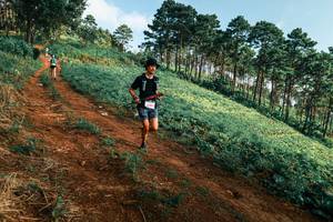 BIB: 
                            <button type="button" onclick="openModal(25289861)" class="btn btn-primary btn-sm float-right btn-popup" data-toggle="modal" data-target=".modal-high-quality">
                        <i class="fas fa-shopping-cart"></i> Add to Cart
                    </button>
                                            <button type="button" onclick="isThisMe(25289861, true)" class="btn btn-success btn-sm float-right btn-popup btn-isme hidden" data-toggle="tooltip" data-placement="bottom" title="นี่คือรูปของคุณใช่ไหม คลิกที่นี่เพื่อเอาเข้าอัลบั้ม">
                        <i class="fas fa-plus"></i> Add to album
                    </button>
                    <button type="button" onclick="isThisMe(25289861, false)" class="btn btn-warning btn-sm float-right btn-popup btn-isnotme hidden">
                        <i class="fas fa-ban"></i> Remove from album
                    </button>