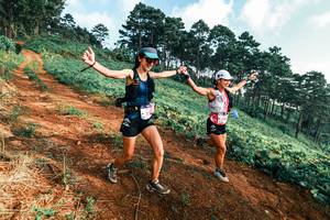 BIB: 
                            <button type="button" onclick="openModal(25290364)" class="btn btn-primary btn-sm float-right btn-popup" data-toggle="modal" data-target=".modal-high-quality">
                        <i class="fas fa-shopping-cart"></i> Add to Cart
                    </button>
                                            <button type="button" onclick="isThisMe(25290364, true)" class="btn btn-success btn-sm float-right btn-popup btn-isme hidden" data-toggle="tooltip" data-placement="bottom" title="นี่คือรูปของคุณใช่ไหม คลิกที่นี่เพื่อเอาเข้าอัลบั้ม">
                        <i class="fas fa-plus"></i> Add to album
                    </button>
                    <button type="button" onclick="isThisMe(25290364, false)" class="btn btn-warning btn-sm float-right btn-popup btn-isnotme hidden">
                        <i class="fas fa-ban"></i> Remove from album
                    </button>