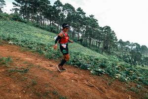 BIB: 
                            <button type="button" onclick="openModal(25299420)" class="btn btn-primary btn-sm float-right btn-popup" data-toggle="modal" data-target=".modal-high-quality">
                        <i class="fas fa-shopping-cart"></i> Add to Cart
                    </button>
                                            <button type="button" onclick="isThisMe(25299420, true)" class="btn btn-success btn-sm float-right btn-popup btn-isme hidden" data-toggle="tooltip" data-placement="bottom" title="นี่คือรูปของคุณใช่ไหม คลิกที่นี่เพื่อเอาเข้าอัลบั้ม">
                        <i class="fas fa-plus"></i> Add to album
                    </button>
                    <button type="button" onclick="isThisMe(25299420, false)" class="btn btn-warning btn-sm float-right btn-popup btn-isnotme hidden">
                        <i class="fas fa-ban"></i> Remove from album
                    </button>