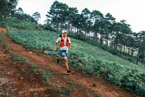 BIB: 
                            <button type="button" onclick="openModal(25288650)" class="btn btn-primary btn-sm float-right btn-popup" data-toggle="modal" data-target=".modal-high-quality">
                        <i class="fas fa-shopping-cart"></i> Add to Cart
                    </button>
                                            <button type="button" onclick="isThisMe(25288650, true)" class="btn btn-success btn-sm float-right btn-popup btn-isme hidden" data-toggle="tooltip" data-placement="bottom" title="นี่คือรูปของคุณใช่ไหม คลิกที่นี่เพื่อเอาเข้าอัลบั้ม">
                        <i class="fas fa-plus"></i> Add to album
                    </button>
                    <button type="button" onclick="isThisMe(25288650, false)" class="btn btn-warning btn-sm float-right btn-popup btn-isnotme hidden">
                        <i class="fas fa-ban"></i> Remove from album
                    </button>