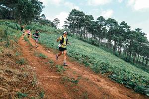 BIB: 
                            <button type="button" onclick="openModal(25301628)" class="btn btn-primary btn-sm float-right btn-popup" data-toggle="modal" data-target=".modal-high-quality">
                        <i class="fas fa-shopping-cart"></i> Add to Cart
                    </button>
                                            <button type="button" onclick="isThisMe(25301628, true)" class="btn btn-success btn-sm float-right btn-popup btn-isme hidden" data-toggle="tooltip" data-placement="bottom" title="นี่คือรูปของคุณใช่ไหม คลิกที่นี่เพื่อเอาเข้าอัลบั้ม">
                        <i class="fas fa-plus"></i> Add to album
                    </button>
                    <button type="button" onclick="isThisMe(25301628, false)" class="btn btn-warning btn-sm float-right btn-popup btn-isnotme hidden">
                        <i class="fas fa-ban"></i> Remove from album
                    </button>