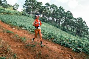 BIB: 
                            <button type="button" onclick="openModal(25298647)" class="btn btn-primary btn-sm float-right btn-popup" data-toggle="modal" data-target=".modal-high-quality">
                        <i class="fas fa-shopping-cart"></i> Add to Cart
                    </button>
                                            <button type="button" onclick="isThisMe(25298647, true)" class="btn btn-success btn-sm float-right btn-popup btn-isme hidden" data-toggle="tooltip" data-placement="bottom" title="นี่คือรูปของคุณใช่ไหม คลิกที่นี่เพื่อเอาเข้าอัลบั้ม">
                        <i class="fas fa-plus"></i> Add to album
                    </button>
                    <button type="button" onclick="isThisMe(25298647, false)" class="btn btn-warning btn-sm float-right btn-popup btn-isnotme hidden">
                        <i class="fas fa-ban"></i> Remove from album
                    </button>