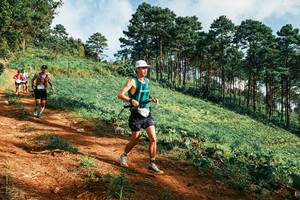 BIB: 
                            <button type="button" onclick="openModal(25289298)" class="btn btn-primary btn-sm float-right btn-popup" data-toggle="modal" data-target=".modal-high-quality">
                        <i class="fas fa-shopping-cart"></i> Add to Cart
                    </button>
                                            <button type="button" onclick="isThisMe(25289298, true)" class="btn btn-success btn-sm float-right btn-popup btn-isme hidden" data-toggle="tooltip" data-placement="bottom" title="นี่คือรูปของคุณใช่ไหม คลิกที่นี่เพื่อเอาเข้าอัลบั้ม">
                        <i class="fas fa-plus"></i> Add to album
                    </button>
                    <button type="button" onclick="isThisMe(25289298, false)" class="btn btn-warning btn-sm float-right btn-popup btn-isnotme hidden">
                        <i class="fas fa-ban"></i> Remove from album
                    </button>