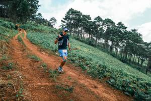 BIB: 
                            <button type="button" onclick="openModal(25322459)" class="btn btn-primary btn-sm float-right btn-popup" data-toggle="modal" data-target=".modal-high-quality">
                        <i class="fas fa-shopping-cart"></i> Add to Cart
                    </button>
                                            <button type="button" onclick="isThisMe(25322459, true)" class="btn btn-success btn-sm float-right btn-popup btn-isme hidden" data-toggle="tooltip" data-placement="bottom" title="นี่คือรูปของคุณใช่ไหม คลิกที่นี่เพื่อเอาเข้าอัลบั้ม">
                        <i class="fas fa-plus"></i> Add to album
                    </button>
                    <button type="button" onclick="isThisMe(25322459, false)" class="btn btn-warning btn-sm float-right btn-popup btn-isnotme hidden">
                        <i class="fas fa-ban"></i> Remove from album
                    </button>