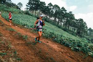 BIB: 
                            <button type="button" onclick="openModal(25297758)" class="btn btn-primary btn-sm float-right btn-popup" data-toggle="modal" data-target=".modal-high-quality">
                        <i class="fas fa-shopping-cart"></i> Add to Cart
                    </button>
                                            <button type="button" onclick="isThisMe(25297758, true)" class="btn btn-success btn-sm float-right btn-popup btn-isme hidden" data-toggle="tooltip" data-placement="bottom" title="นี่คือรูปของคุณใช่ไหม คลิกที่นี่เพื่อเอาเข้าอัลบั้ม">
                        <i class="fas fa-plus"></i> Add to album
                    </button>
                    <button type="button" onclick="isThisMe(25297758, false)" class="btn btn-warning btn-sm float-right btn-popup btn-isnotme hidden">
                        <i class="fas fa-ban"></i> Remove from album
                    </button>