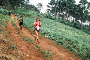 BIB: 
                            <button type="button" onclick="openModal(25323318)" class="btn btn-primary btn-sm float-right btn-popup" data-toggle="modal" data-target=".modal-high-quality">
                        <i class="fas fa-shopping-cart"></i> Add to Cart
                    </button>
                                            <button type="button" onclick="isThisMe(25323318, true)" class="btn btn-success btn-sm float-right btn-popup btn-isme hidden" data-toggle="tooltip" data-placement="bottom" title="นี่คือรูปของคุณใช่ไหม คลิกที่นี่เพื่อเอาเข้าอัลบั้ม">
                        <i class="fas fa-plus"></i> Add to album
                    </button>
                    <button type="button" onclick="isThisMe(25323318, false)" class="btn btn-warning btn-sm float-right btn-popup btn-isnotme hidden">
                        <i class="fas fa-ban"></i> Remove from album
                    </button>