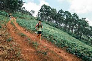 BIB: 
                            <button type="button" onclick="openModal(25452970)" class="btn btn-primary btn-sm float-right btn-popup" data-toggle="modal" data-target=".modal-high-quality">
                        <i class="fas fa-shopping-cart"></i> Add to Cart
                    </button>
                                            <button type="button" onclick="isThisMe(25452970, true)" class="btn btn-success btn-sm float-right btn-popup btn-isme hidden" data-toggle="tooltip" data-placement="bottom" title="นี่คือรูปของคุณใช่ไหม คลิกที่นี่เพื่อเอาเข้าอัลบั้ม">
                        <i class="fas fa-plus"></i> Add to album
                    </button>
                    <button type="button" onclick="isThisMe(25452970, false)" class="btn btn-warning btn-sm float-right btn-popup btn-isnotme hidden">
                        <i class="fas fa-ban"></i> Remove from album
                    </button>