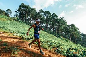 BIB: 
                            <button type="button" onclick="openModal(25288875)" class="btn btn-primary btn-sm float-right btn-popup" data-toggle="modal" data-target=".modal-high-quality">
                        <i class="fas fa-shopping-cart"></i> Add to Cart
                    </button>
                                            <button type="button" onclick="isThisMe(25288875, true)" class="btn btn-success btn-sm float-right btn-popup btn-isme hidden" data-toggle="tooltip" data-placement="bottom" title="นี่คือรูปของคุณใช่ไหม คลิกที่นี่เพื่อเอาเข้าอัลบั้ม">
                        <i class="fas fa-plus"></i> Add to album
                    </button>
                    <button type="button" onclick="isThisMe(25288875, false)" class="btn btn-warning btn-sm float-right btn-popup btn-isnotme hidden">
                        <i class="fas fa-ban"></i> Remove from album
                    </button>