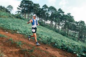 BIB: 
                            <button type="button" onclick="openModal(25290614)" class="btn btn-primary btn-sm float-right btn-popup" data-toggle="modal" data-target=".modal-high-quality">
                        <i class="fas fa-shopping-cart"></i> Add to Cart
                    </button>
                                            <button type="button" onclick="isThisMe(25290614, true)" class="btn btn-success btn-sm float-right btn-popup btn-isme hidden" data-toggle="tooltip" data-placement="bottom" title="นี่คือรูปของคุณใช่ไหม คลิกที่นี่เพื่อเอาเข้าอัลบั้ม">
                        <i class="fas fa-plus"></i> Add to album
                    </button>
                    <button type="button" onclick="isThisMe(25290614, false)" class="btn btn-warning btn-sm float-right btn-popup btn-isnotme hidden">
                        <i class="fas fa-ban"></i> Remove from album
                    </button>