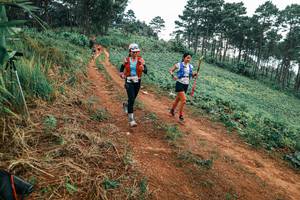 BIB: 
                            <button type="button" onclick="openModal(25323890)" class="btn btn-primary btn-sm float-right btn-popup" data-toggle="modal" data-target=".modal-high-quality">
                        <i class="fas fa-shopping-cart"></i> Add to Cart
                    </button>
                                            <button type="button" onclick="isThisMe(25323890, true)" class="btn btn-success btn-sm float-right btn-popup btn-isme hidden" data-toggle="tooltip" data-placement="bottom" title="นี่คือรูปของคุณใช่ไหม คลิกที่นี่เพื่อเอาเข้าอัลบั้ม">
                        <i class="fas fa-plus"></i> Add to album
                    </button>
                    <button type="button" onclick="isThisMe(25323890, false)" class="btn btn-warning btn-sm float-right btn-popup btn-isnotme hidden">
                        <i class="fas fa-ban"></i> Remove from album
                    </button>