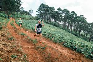 BIB: 
                            <button type="button" onclick="openModal(25300533)" class="btn btn-primary btn-sm float-right btn-popup" data-toggle="modal" data-target=".modal-high-quality">
                        <i class="fas fa-shopping-cart"></i> Add to Cart
                    </button>
                                            <button type="button" onclick="isThisMe(25300533, true)" class="btn btn-success btn-sm float-right btn-popup btn-isme hidden" data-toggle="tooltip" data-placement="bottom" title="นี่คือรูปของคุณใช่ไหม คลิกที่นี่เพื่อเอาเข้าอัลบั้ม">
                        <i class="fas fa-plus"></i> Add to album
                    </button>
                    <button type="button" onclick="isThisMe(25300533, false)" class="btn btn-warning btn-sm float-right btn-popup btn-isnotme hidden">
                        <i class="fas fa-ban"></i> Remove from album
                    </button>