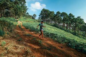 BIB: 
                            <button type="button" onclick="openModal(25291581)" class="btn btn-primary btn-sm float-right btn-popup" data-toggle="modal" data-target=".modal-high-quality">
                        <i class="fas fa-shopping-cart"></i> Add to Cart
                    </button>
                                            <button type="button" onclick="isThisMe(25291581, true)" class="btn btn-success btn-sm float-right btn-popup btn-isme hidden" data-toggle="tooltip" data-placement="bottom" title="นี่คือรูปของคุณใช่ไหม คลิกที่นี่เพื่อเอาเข้าอัลบั้ม">
                        <i class="fas fa-plus"></i> Add to album
                    </button>
                    <button type="button" onclick="isThisMe(25291581, false)" class="btn btn-warning btn-sm float-right btn-popup btn-isnotme hidden">
                        <i class="fas fa-ban"></i> Remove from album
                    </button>