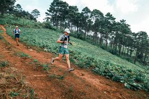 BIB: 
                            <button type="button" onclick="openModal(25298916)" class="btn btn-primary btn-sm float-right btn-popup" data-toggle="modal" data-target=".modal-high-quality">
                        <i class="fas fa-shopping-cart"></i> Add to Cart
                    </button>
                                            <button type="button" onclick="isThisMe(25298916, true)" class="btn btn-success btn-sm float-right btn-popup btn-isme hidden" data-toggle="tooltip" data-placement="bottom" title="นี่คือรูปของคุณใช่ไหม คลิกที่นี่เพื่อเอาเข้าอัลบั้ม">
                        <i class="fas fa-plus"></i> Add to album
                    </button>
                    <button type="button" onclick="isThisMe(25298916, false)" class="btn btn-warning btn-sm float-right btn-popup btn-isnotme hidden">
                        <i class="fas fa-ban"></i> Remove from album
                    </button>