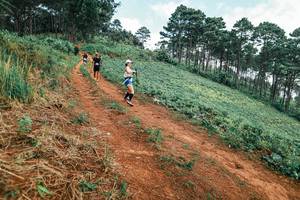 BIB: 
                            <button type="button" onclick="openModal(25299556)" class="btn btn-primary btn-sm float-right btn-popup" data-toggle="modal" data-target=".modal-high-quality">
                        <i class="fas fa-shopping-cart"></i> Add to Cart
                    </button>
                                            <button type="button" onclick="isThisMe(25299556, true)" class="btn btn-success btn-sm float-right btn-popup btn-isme hidden" data-toggle="tooltip" data-placement="bottom" title="นี่คือรูปของคุณใช่ไหม คลิกที่นี่เพื่อเอาเข้าอัลบั้ม">
                        <i class="fas fa-plus"></i> Add to album
                    </button>
                    <button type="button" onclick="isThisMe(25299556, false)" class="btn btn-warning btn-sm float-right btn-popup btn-isnotme hidden">
                        <i class="fas fa-ban"></i> Remove from album
                    </button>